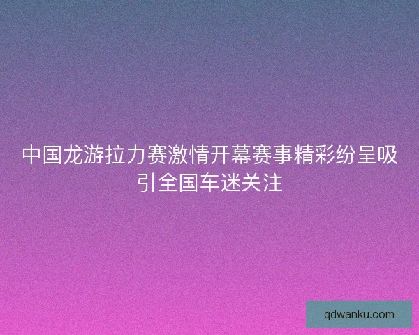 中国龙游拉力赛激情开幕赛事精彩纷呈吸引全国车迷关注